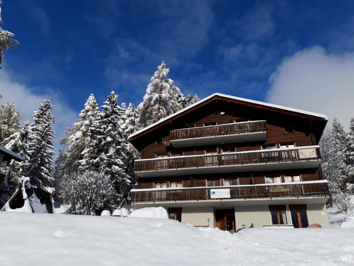 Laerchenwald Lodge Бельвальд Экстерьер фото