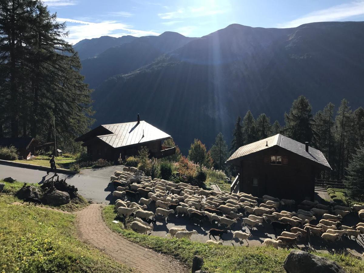 Laerchenwald Lodge Бельвальд Экстерьер фото
